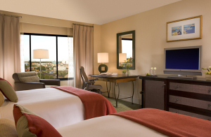 Standard double room